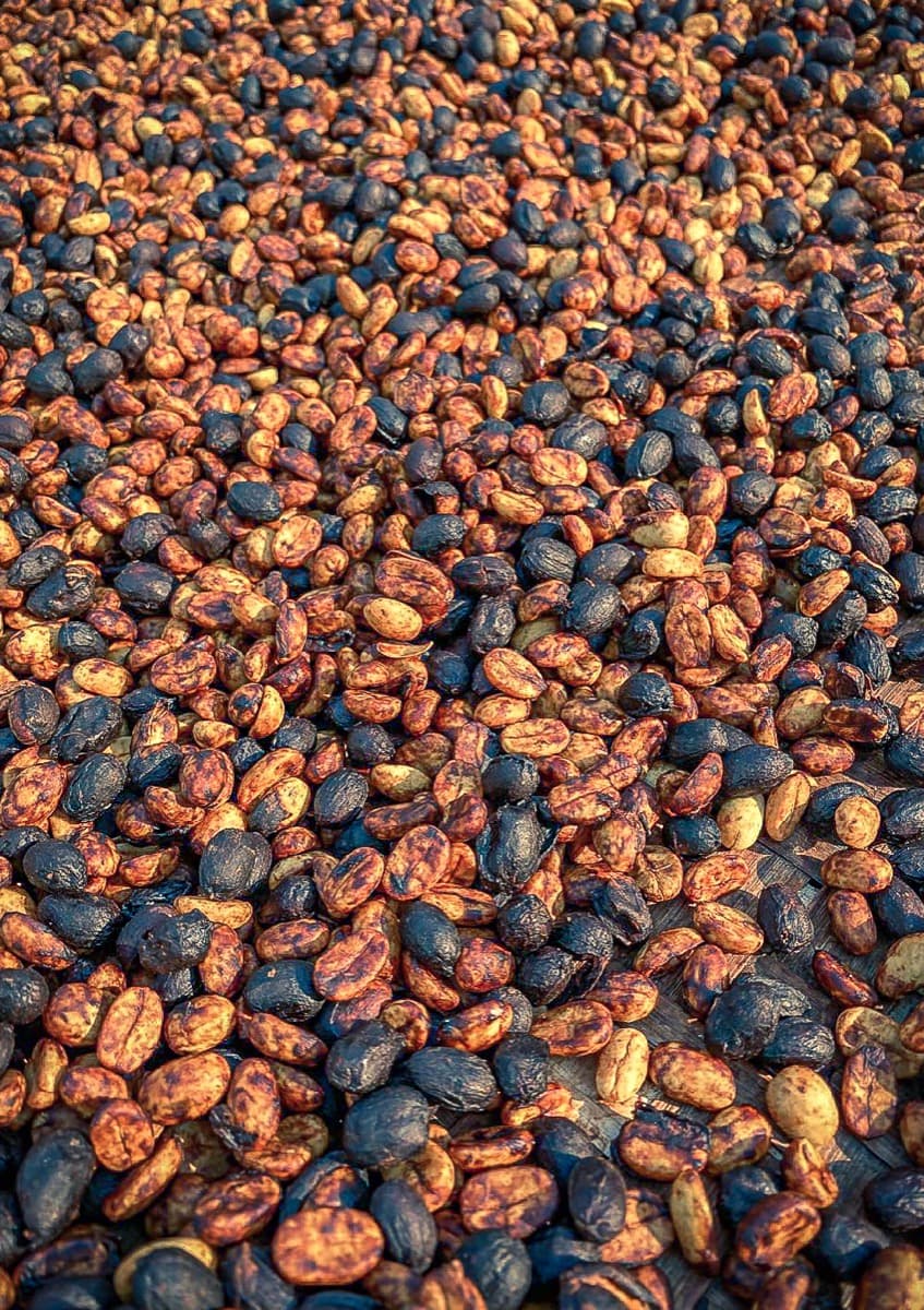 Yunnan Xishuangbanna Guiben - Honey